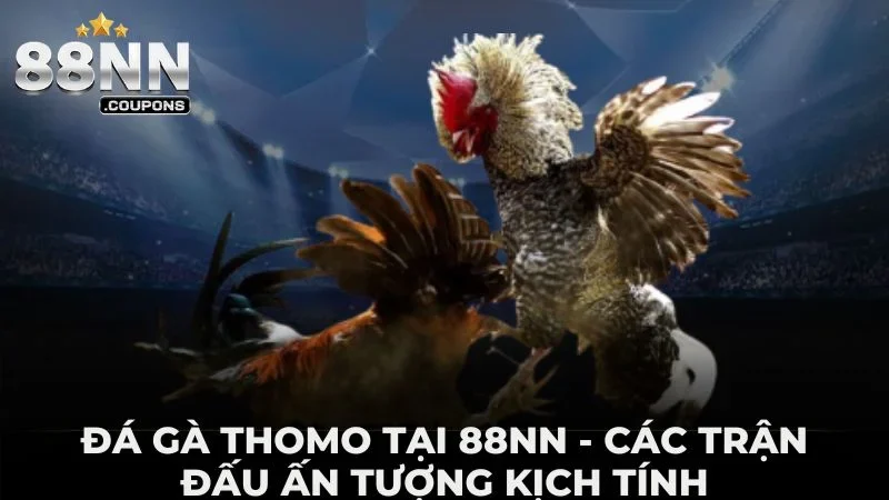 đá gà thomo